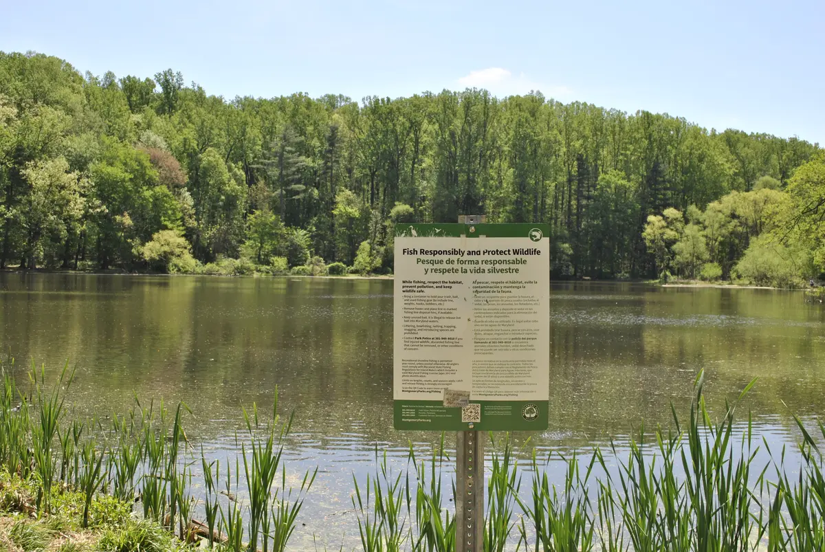 Brookside Gardens